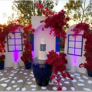 Backdrops and Party Decorations
