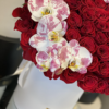 Large Size Roses box with Tigger Orchids - Image 2