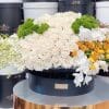 X X Large Garden Roses