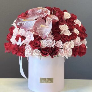 Medium to large Size Arrangment