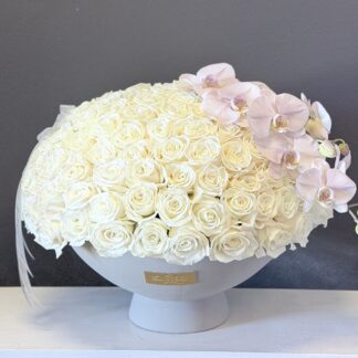 X large Size Arrangment with 150 roses and corner orchids in cement vase